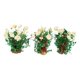 thumbnail image 1 of 3 modelos de flores en miniatura para armar en arena. Gardenia, 1 of 6