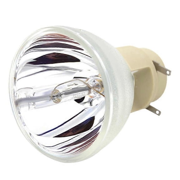 Compatible W1070 W1070 W1080 W1080ST HT1085ST HT1075 W1300 Projector Lamp Bulb 240/0.8 E20.9N for BenQ