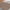 Brown, variant on Skin-friendly Plain Quilts for Queen Bed Bedspreads Bedding- Summer Quilt Lightweight Microfiber Bedspread - Coin Pattern Bedding Coverlet for All Season