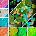 thumbnail image 3 of Neinkie 500Pcs Glow in The Dark Rocks - Glowing Pebbles Luminous Stone for Fish Tank, Garden Yard, Path Patio Aquariums Rocks Decorations Powered by Light or Solar, 3 of 8