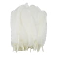 thumbnail image 1 of 50 piezas de plumas de ganso naturales grandes para hacer joyas, atrapasueños, manualidades DIY Blanco, 1 of 8