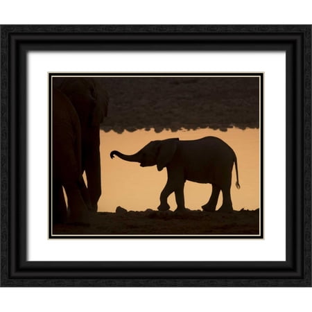 Kaveney, Wendy 32x25 Black Ornate Wood Framed with Double Matting Museum Art Print Titled - Namibia, Etosha NP Baby elephant at sunset