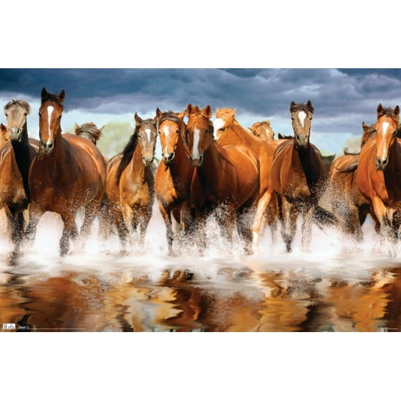 Horses Wall Poster, 22.375" x 34"