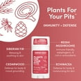thumbnail image 2 of Desodorante herbal Green Goo Immunity + Defense 66 ml, 2 of 4