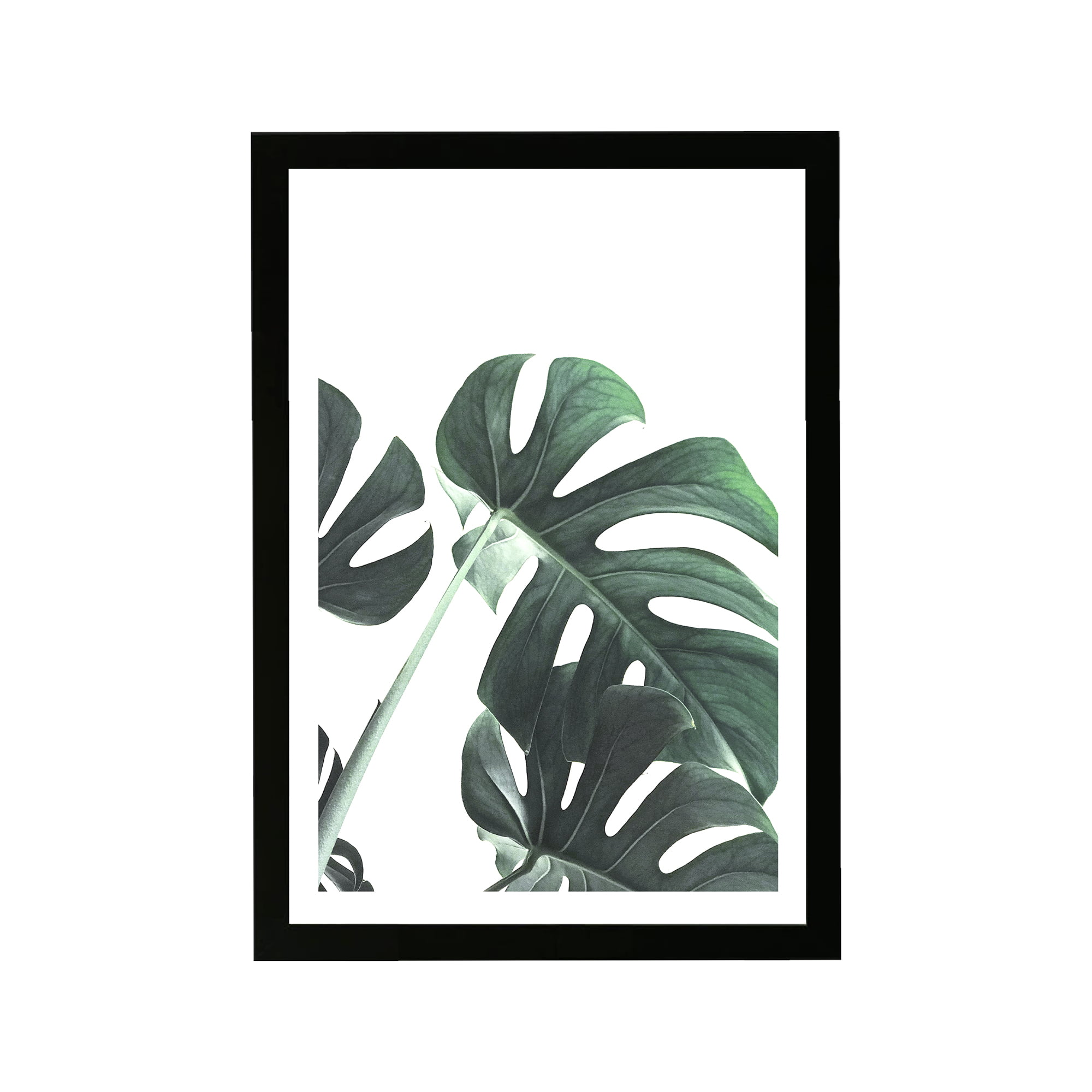 Wynwood Studio Floral and Botanical Framed Wall Art Prints 'Plant II ...