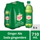 Soda gingembre Canada DryMD - Emballage de 6 bouteilles de 710 mL 6 x 710 ml – image 5 sur 14