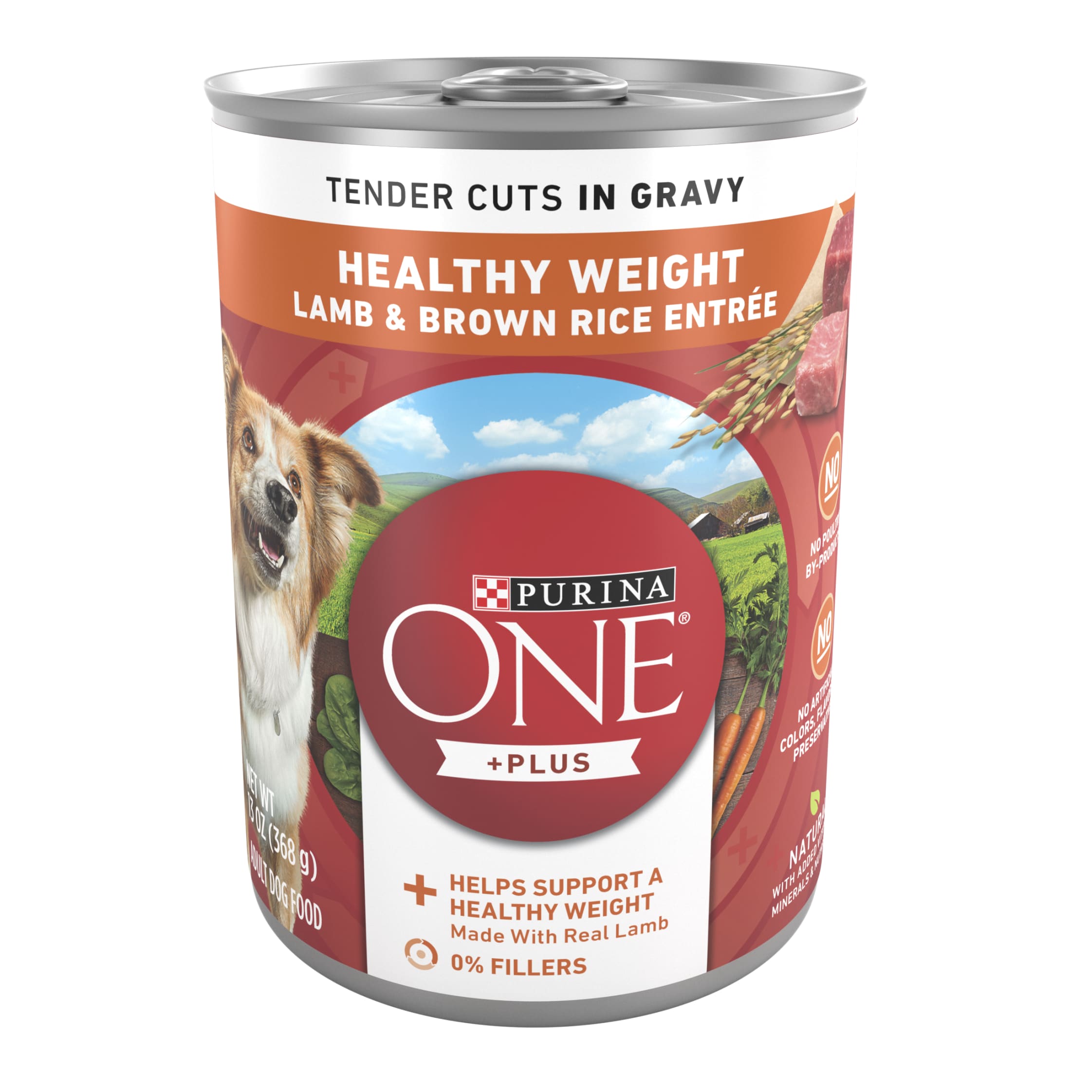 Purina ONE PLUS Natural Wet Dog Food, High Protein Soft Lamb & Brown Rice, 13 oz Can