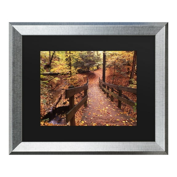 Trademark Fine Art 'Autumn Bridge' Canvas Art by Kurt Shaffer