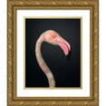 thumbnail image 1 of Fegari 15x18 Gold Ornate Wood Framed with Double Matting Museum Art Print Titled - F L A M B O Y A N C E, 1 of 4