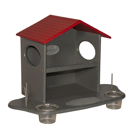 JCS Wildlife Squirrel Snack Station (Small & Large)