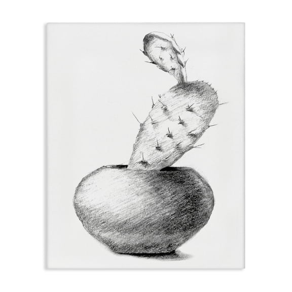 Stupell Industries Southwestern Cactus Graphite Drawing Canvas Art, 24 x 30, by Lil' Rue