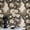 Colourful1, variant on Black Gold Floral Wallpaper Vintage Gothic Rustic Peel and Stick Wallpaper Contact Paper Waterproof Wall Decor for Living Room Bedroom Bathroom Kitchen Cabinet Drawer Rental Property 17.7 * 118 in