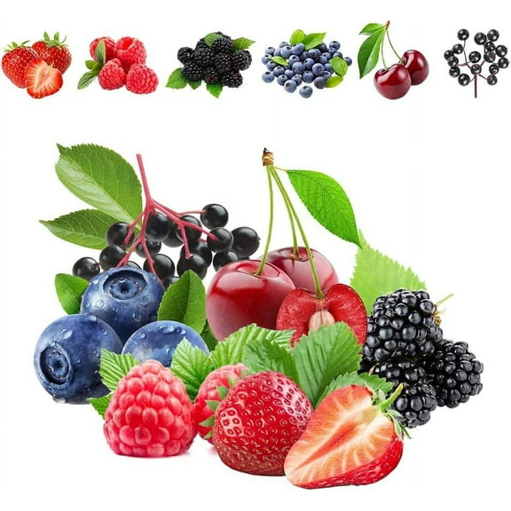 CZ Grain Heirloom Fruit Mix Plant Seeds (6 Pack)