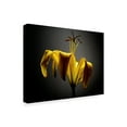 thumbnail image 2 of Studio Flowers V' Canvas Art by James McLoughlin, 2 of 4