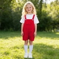 thumbnail image 2 of ANINEO Boys Candy Color Suspenders Outfit Sets Casual O-Neck Short Sleeve T-Shirts With Romper For Children Kindergarten Performance And School Events Fashionable Toddler Clothes Sets, 2 of 6