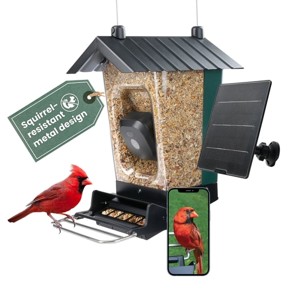 Perky-Pet Solar Powered Smart Bird Feeder with Camera