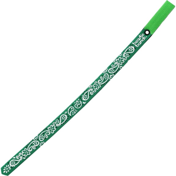 Beastie Bands Cat Collar Paisley Green