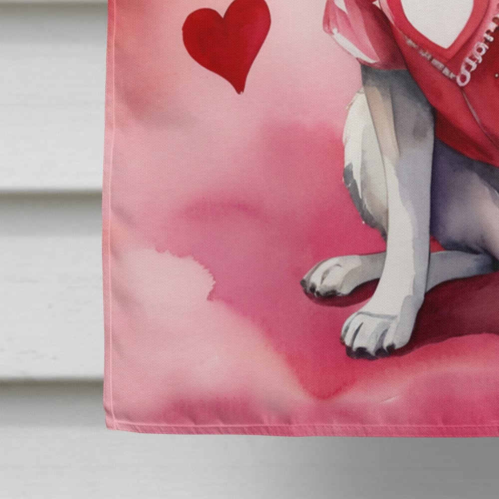 Caroline's Treasures DAC5398CHF Norwegian Elkhound My Valentine House Flag Large Porch Sleeve Pole Decorative Outside Yard Banner Artwork Wall Hanging, Polyester, House Size, Multicolor