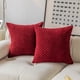 thumbnail image 1 of Xiao Hua Juego de 2 fundas de almohada decorativas de pana suave, estilo bohemio, a rayas, estilo rústico, para sofá, cama, sala de estar, 45,7 x 45,7 cm, color vino tinto., 1 of 5