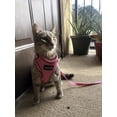 thumbnail image 7 of DMISOCHR Cat Harness - Escape Proof Reflective Cat Harness and Leash for Small to Large Cats, Puppy, Small Dog - Adjustable Mesh Breathable Pink Cute Cat Harness for Walking Training Hiking, 7 of 7
