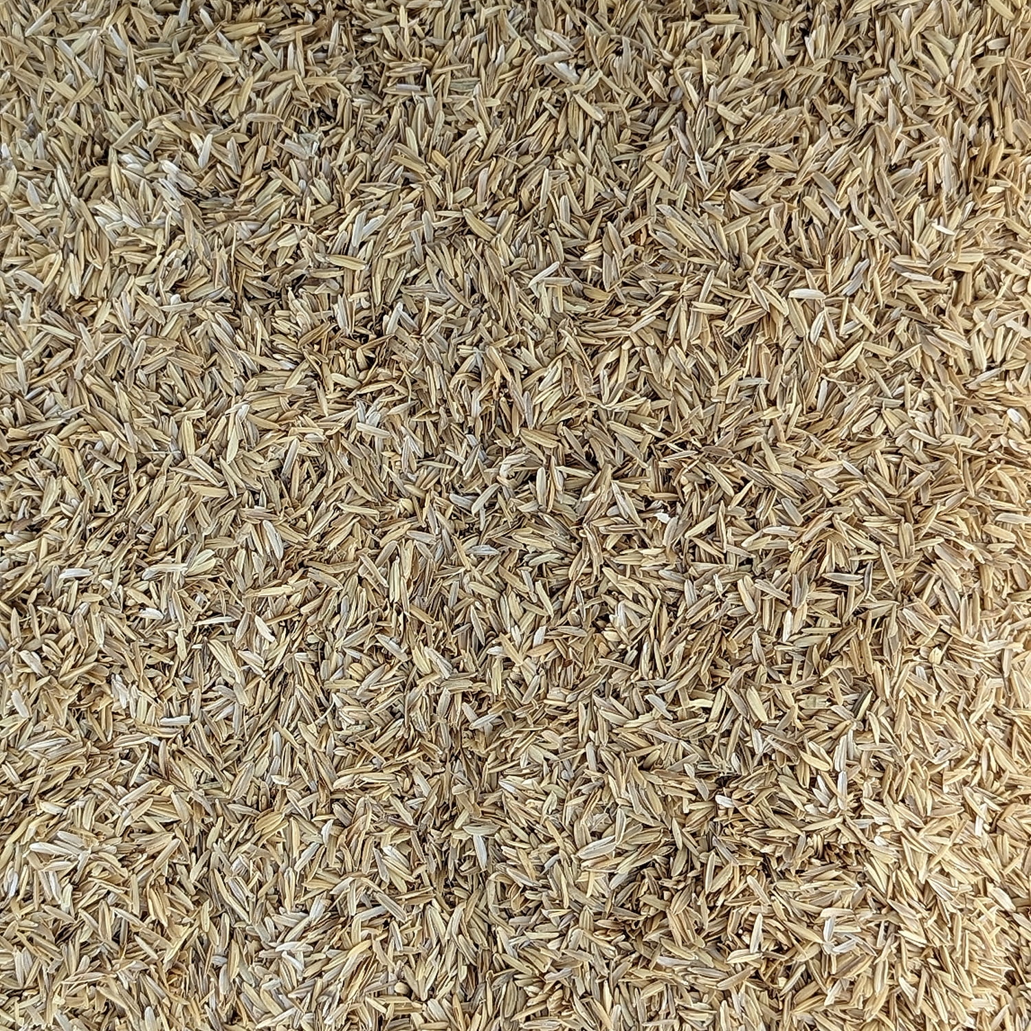 RICE HULLS - Premium All Natural Rice Hulls (Husks) 1 Gallon Bag
