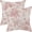 C6, variant on Spring Pink Floral Pillow Covers 18x18 Inch Set of 2, Chinoiserie Pink Flower Decorative Throw Pillowcase Vintage Floral Outdoor Cushion Cover for Sofa Couch Living Room Bed Decor