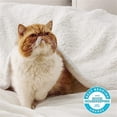 thumbnail image 5 of Fleece Throw Blanket for Couch Cream - Queen (90" x 90"), 5 of 5