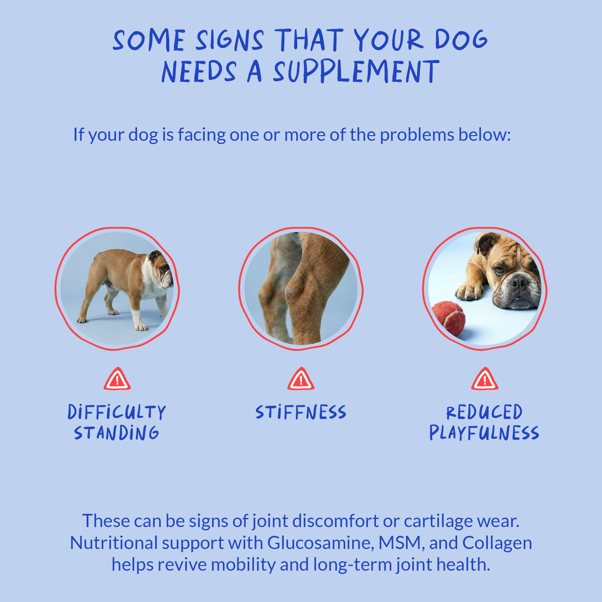 Hip and Joint Support for Dogs - Hyaluronic Acid for Dogs - 90 Soft Chews