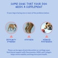 thumbnail image 4 of Hip and Joint Support for Dogs - Hyaluronic Acid for Dogs - 90 Soft Chews, 4 of 7