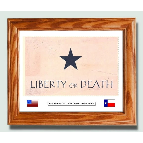 Framed historic Texas Revolution Flag of LIBERTY...Troutman Flag. Patriotic Wall Art, Wall Decor.