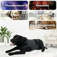 thumbnail image 5 of Dog Anxiety Jacket, Skin-Friendly Dog Calming Shirt - Dog Coat for Thunder, Fireworks and Separation - Keep Pet Calm Without Medicine & Training, Anti Anxiety Vest for Dogs (Dark Grey, XL), 5 of 9