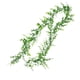 thumbnail image 2 of Guirnalda Artificial Ganfancp para Fake Eucalipto Decoración de la Pared 1 Pack, 2 of 7