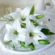 thumbnail image 4 of Lirios de plástico blanco de imitación, flores artificiales de alta gama flores artificiales de lirios simulados decoración del hogar flores de plástico simuladas lirios, 4 of 6
