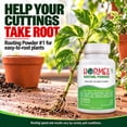 thumbnail image 4 of Hormex Rooting Hormone Powder #1 (0.10% IBA) for Delicate Houseplants, Succulents & Herbs - Gentle Root Stimulator for Softwood Plant Cuttings, Cloning, & Propagation, 4 of 9