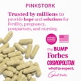 thumbnail image 6 of Pink Stork Pumping Moms Lactation Support, Vegetarian, Gluten-free, Herbs, 60 Capsules, 6 of 6