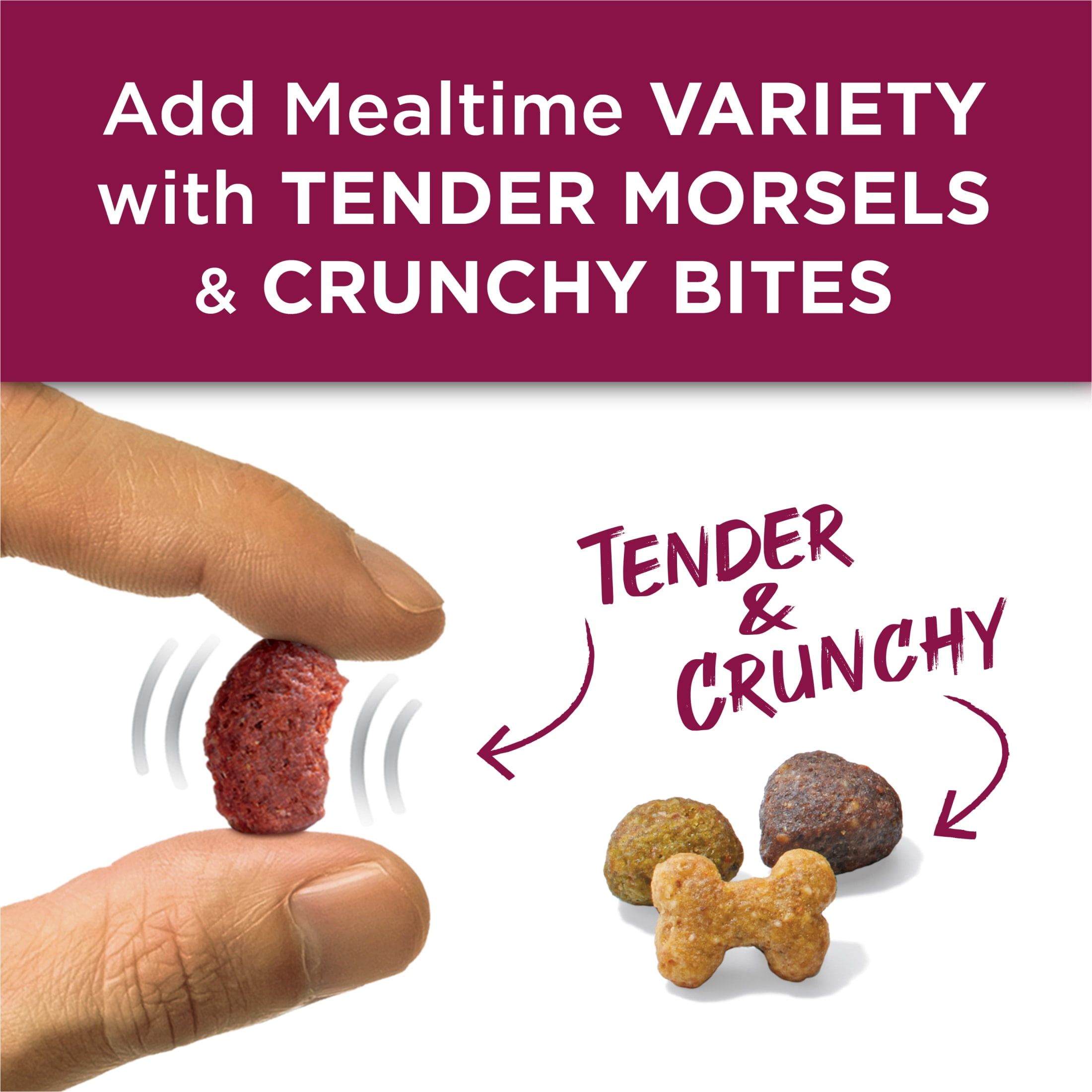 Purina Dog Chow Tender and Crunchy with Real Lamb and Turkey Flavor Adult Dry Dog Food, 30 lb Bag