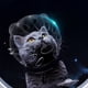 thumbnail image 5 of Capucha ajustable para gatos, mascarilla transparente y transpirable para gatos, mascarilla para el cuidado de gatos, herramientas de disfraz para mascotas y perros, 5 of 8