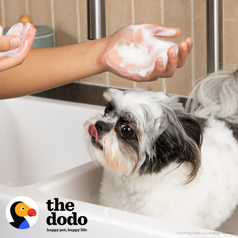 Baking soda sale bath for dogs