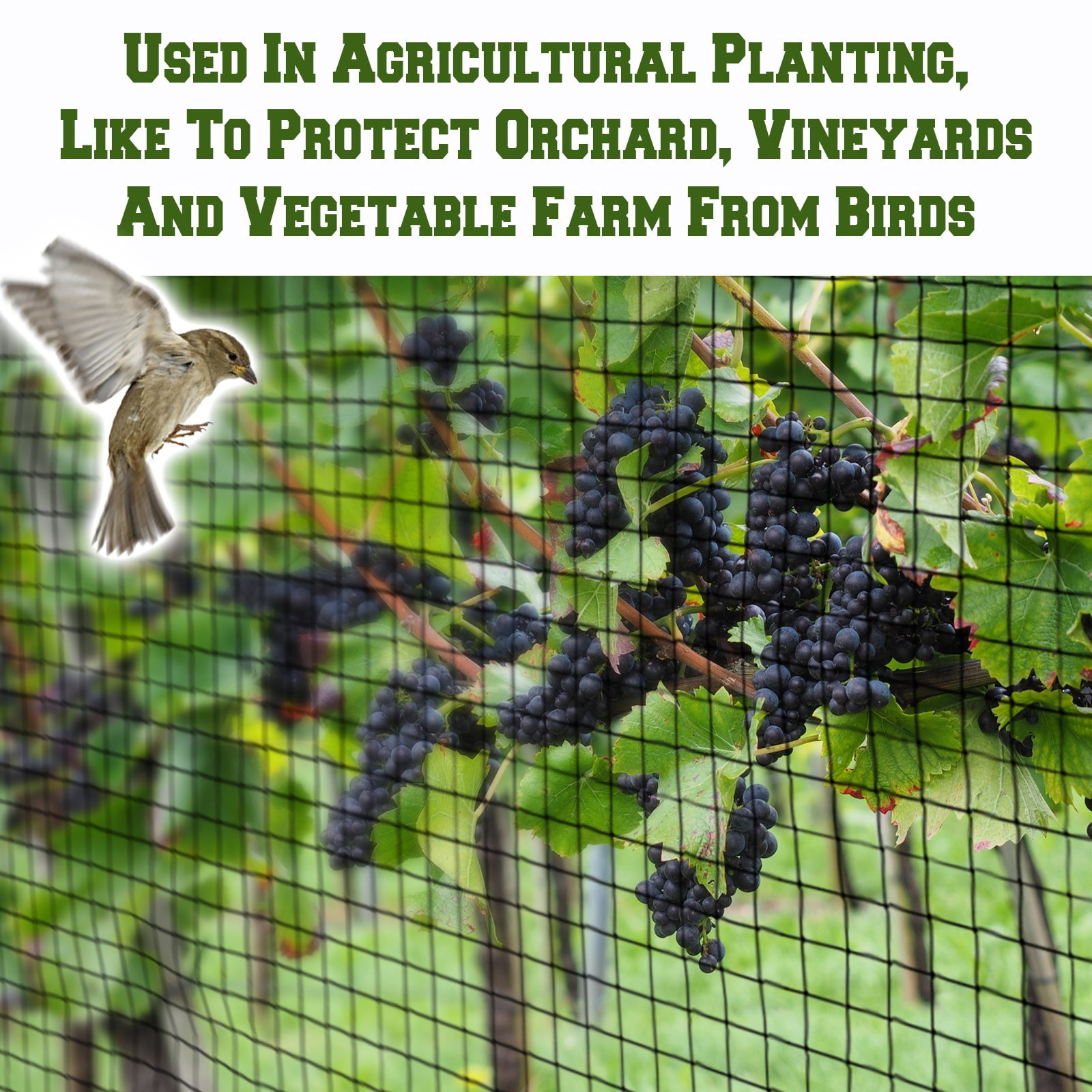 SUNRISEUMBRELLA Stronger Netting Fruit Plant Protective Anti Bird Net Pens Avaiary Game Poultry(25'x50')