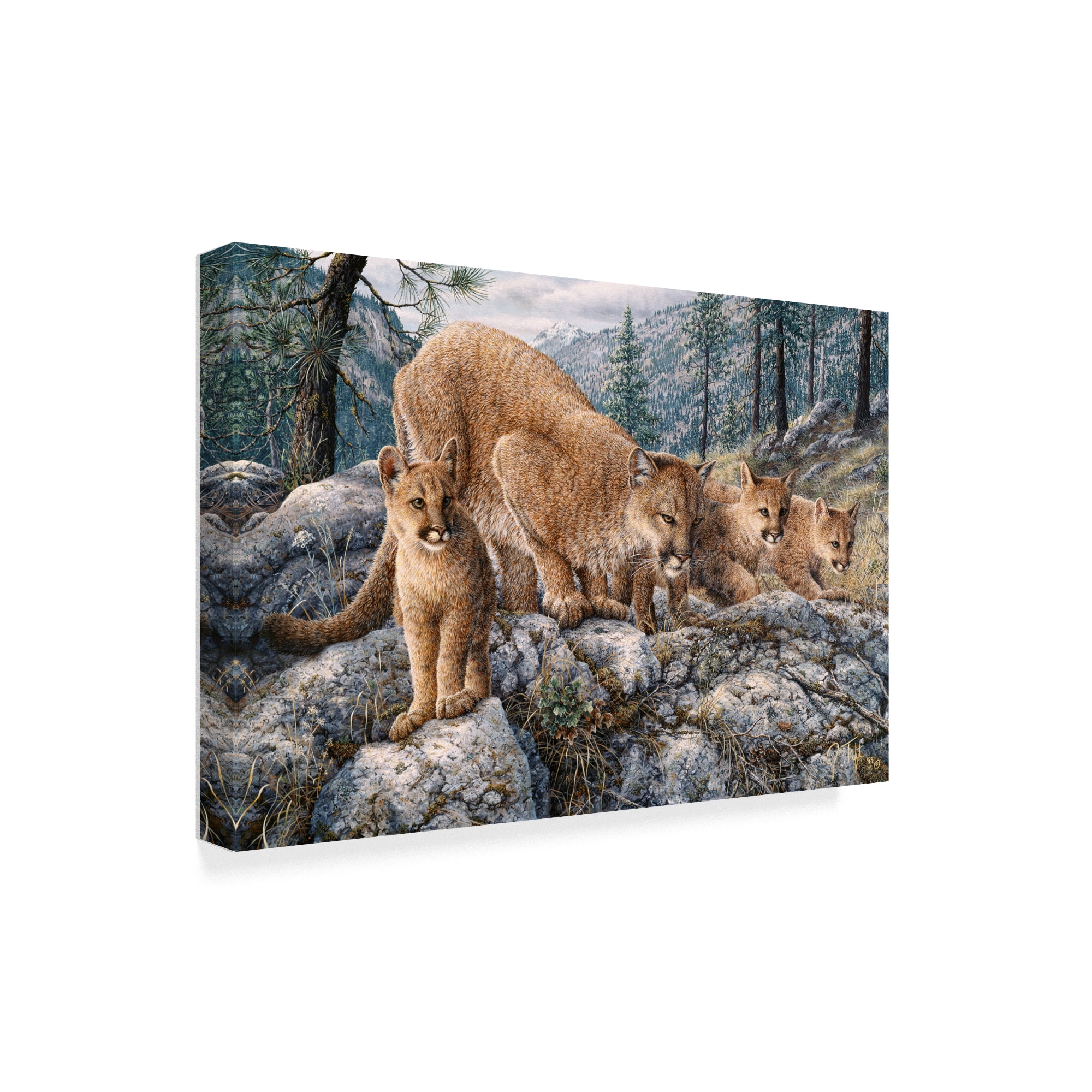 Trademark Fine Art 'Cat Family' Canvas Art by Jeff Tift