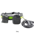 thumbnail image 3 of fastboy Hands-Free Dog For Running Reflective Strip Wide Application Made Of Nylon ggray 144cm 1Set, 3 of 6