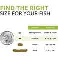 thumbnail image 5 of Fluval Bug Bites BottFeeder Granule S-M 1.6oz, 5 of 8