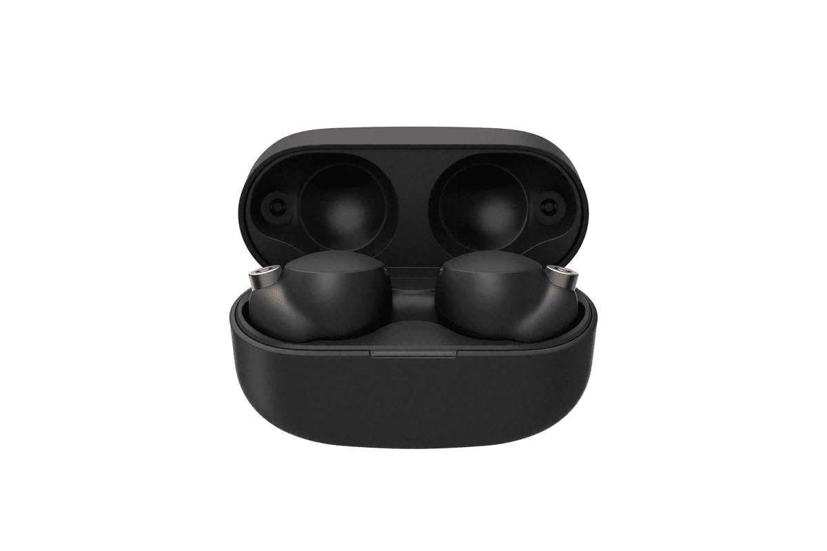 Sony True Wireless Earbuds with Charging Case, Black 