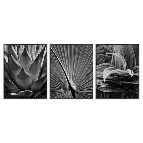 Stupell Industries Palm Frond Details Plants & Flowers Photography Black Framed Art Print Wall Art, 11 x 14, Set of 3