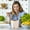 A-F, variant on Last Chance 1X Electric Cooker   1X Tableware,Nuoyasi Electric Cooker B,Mini Ramen Cooker 450W Noodles Cooker Multifunctional Electric Pot for Cooking Pasta Soup Portable Pot with Over Heating