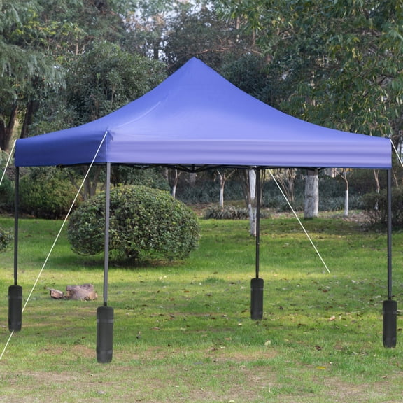 Roy Steel and Nylon Blue 10' x 10' Pop-Up Canopy Tent with Backpack Storage Bag