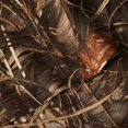 thumbnail image 2 of Realtree Max 4 Camo Bedding Queen Sheet Set Polycotton Fabric, Super Soft, Easy Care Percale Weave 4 Pcs Sheet Sets for Bedroom, Hunting & Outdoor Camouflage Bedding - Queen, 2 of 3