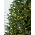 thumbnail image 2 of AMERZEST Pre-lit Artificial Christmas Tree, Premium Hinged Fraser Fir Christmas Tree 7ft with 550 Dual Color LED Lights, 2 of 5