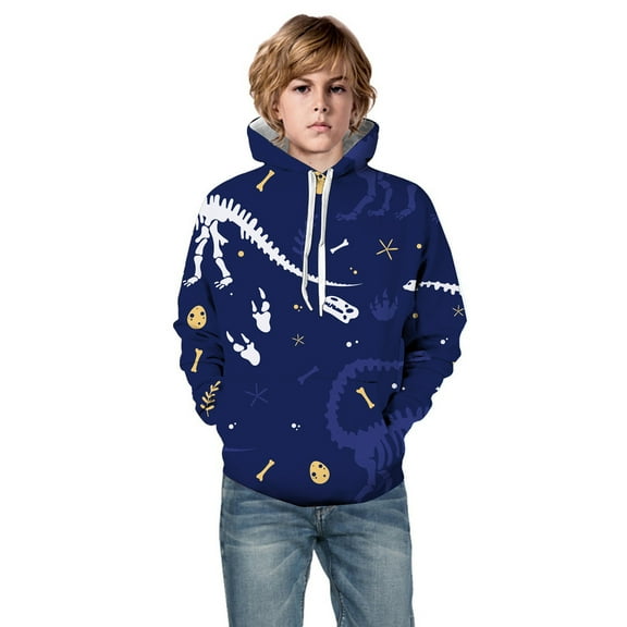SonxaHe Toddler Boys Hooded Sweatshirt Dinosaur Printed Long Sleeve Relaxed Comfy Fall Winter Hoodie Blue,Sized 4-5