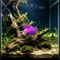 thumbnail image 5 of Glow In The Dark Lionfish Aquarium Decoration, Silicone Artificial Fish Ornament With Suction Cup Mount Luminous Underwater Landscape Decor For Freshwater Saltwater Fish Tank, 5 of 6